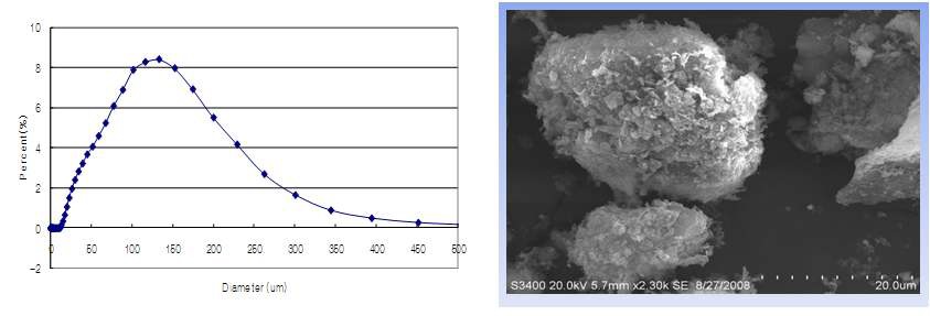 그림 3 가공전 CFW의 입도분포 및 SEM Image
