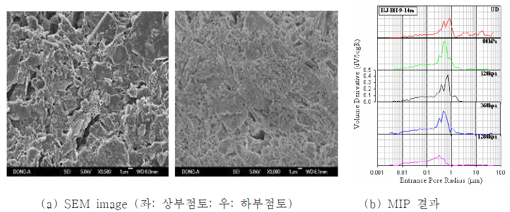 상부 및 하부 부산점토의 구조 및 MIP에 의한 간극분포