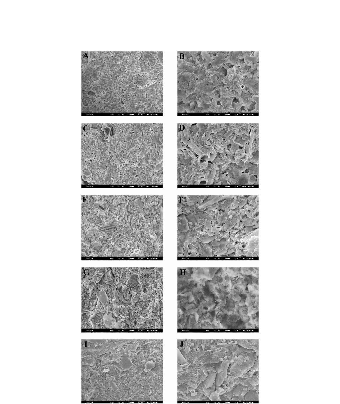 SEM images of the core sediments. A  C  E  G  I & J, 35.50 m,