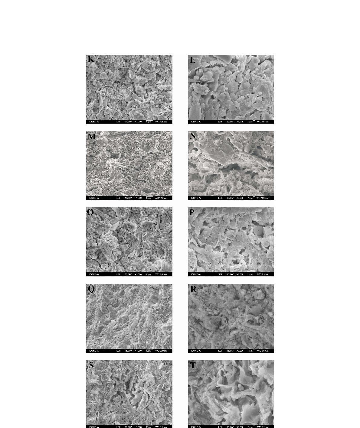 SEM images of the core sediments. K  M  O  Q  S & T, 42.50 m.