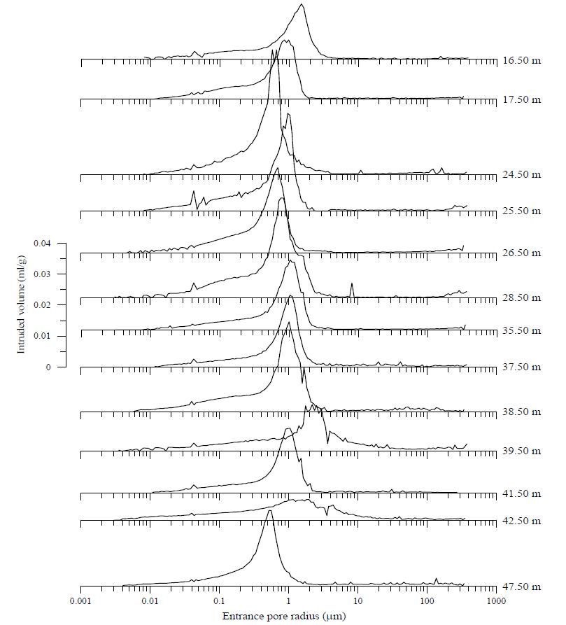 The distribution of pore size of the core sediments