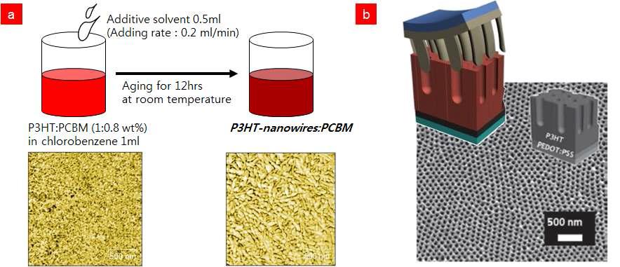 나노 복합구조 태양전지의 광흡수층 모폴로지 향상을 위한 접근법 (a) 고분자 Nanowire 형성, (b) Nanoimprint lithography 방법