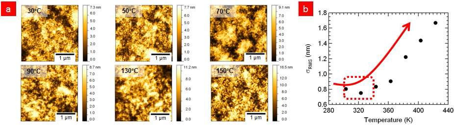 열처리 온도에 따른 (a) AFM 모폴로지와 (b) RMS 표면 거칠기 변화