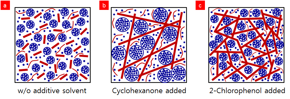 SANS를 통해 유추된 나노와이어 P3HT:PCBM 박막의 모폴로지 개략도 ((a) 첨가제 없음 (b) cyclohexanone, (c) 2-chlorophenol)