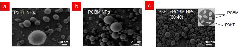 (a) P3HT 나노입자, (b) PCBM 나노입자 및 (c) P3HT:PCBM 나노입자의 SEM 사진