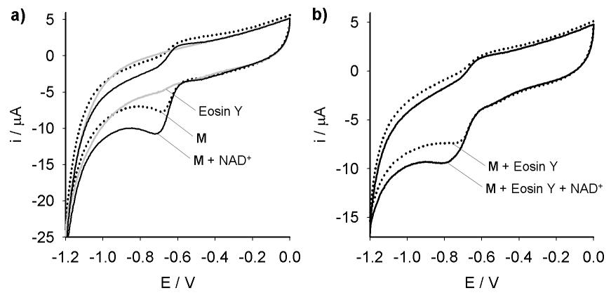 Glassy Carbon 상에서 복합체 M과 Eosin Y를 이용한 순환 전압-전류도