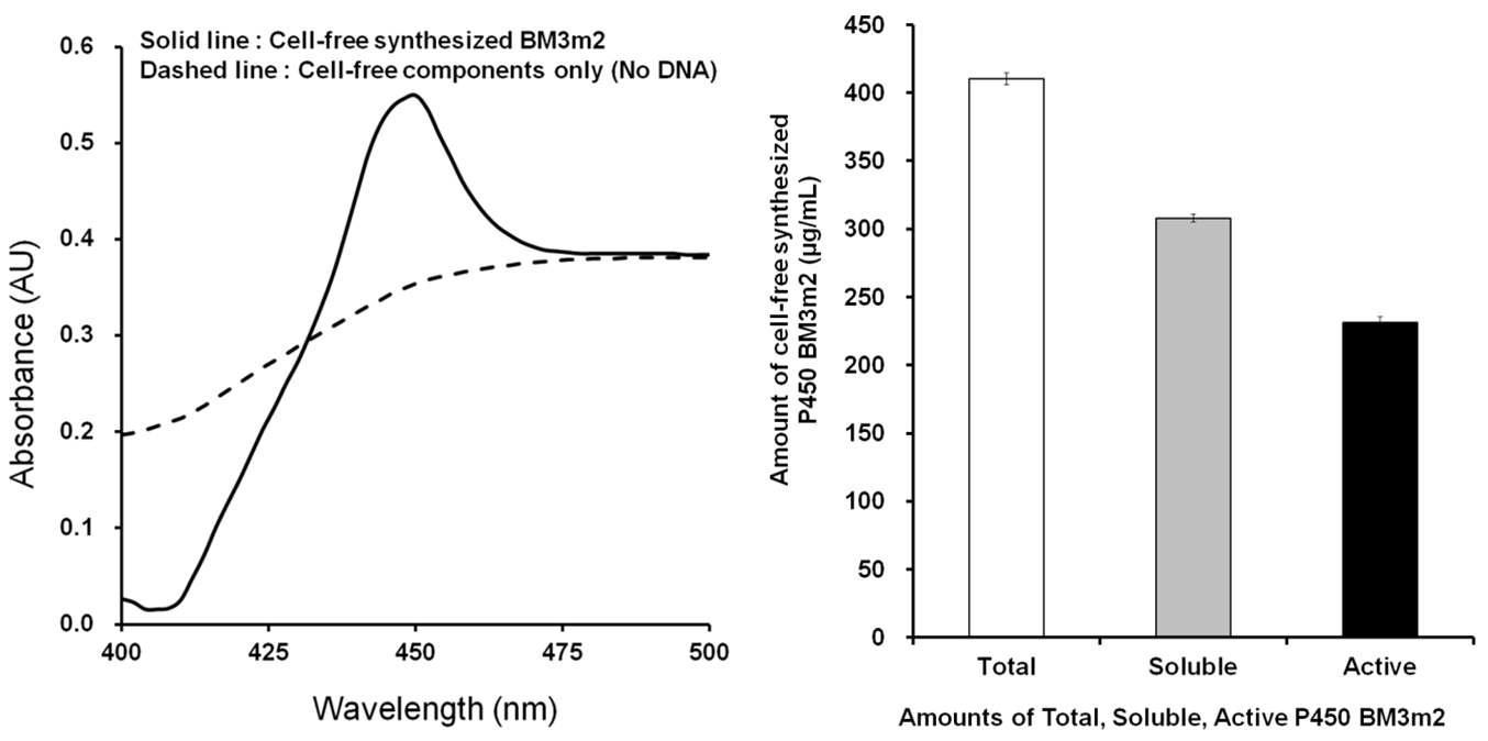 무세포 합성 방법으로 제조한 cytochrome P450 BM3 variant의 CO-binding characteristic과 제조된 protein의 soluble, active protein portion 측정 결과