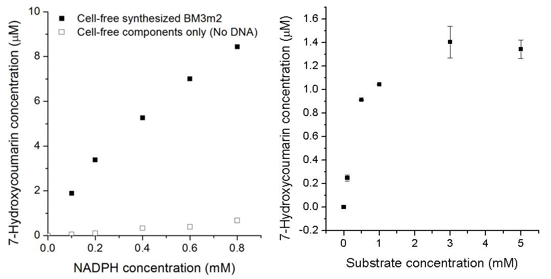 Redox equivalent (NADPH)의 농도와 기질의 농도에 따른 P450 BM3의 O-dealkylation 반응 결과