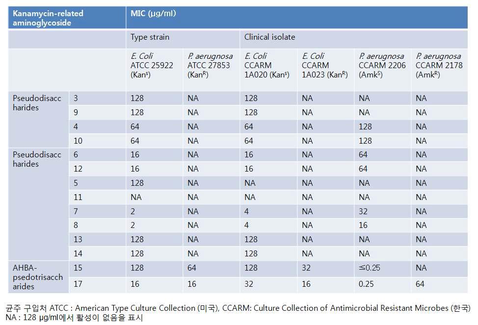 그람 음성균에 대한 kanamycin 중간체 및 유도체의 항균활성 평가