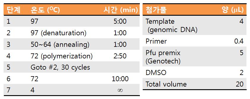 Gentamicin 생합성 유전자 확보를 위한 PCR 조건