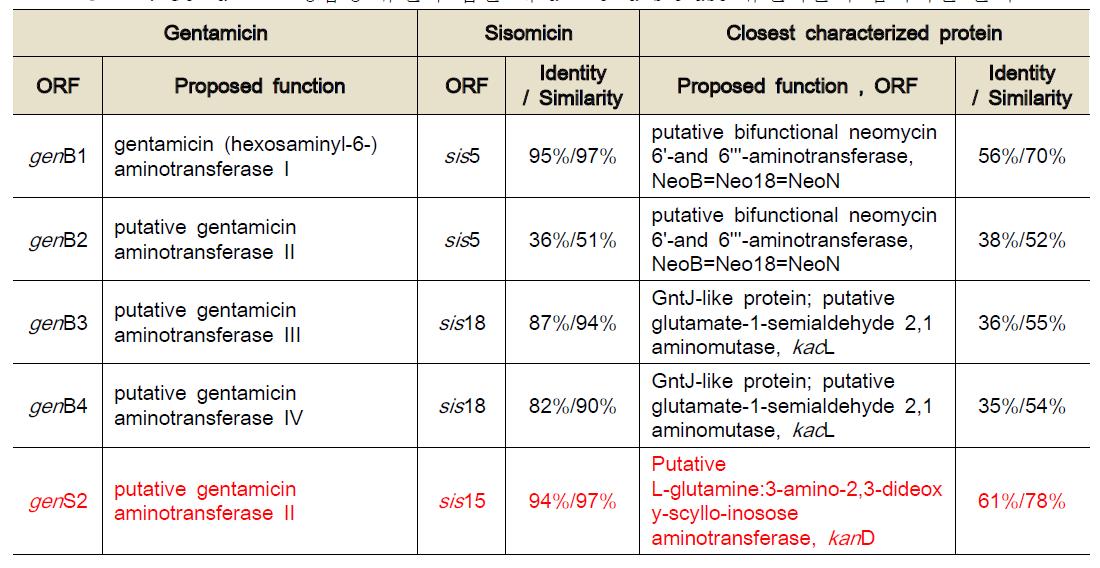 Gentamicin 생합성 유전자 집단 내 aminotransferase 유전자들의 염기서열 분석