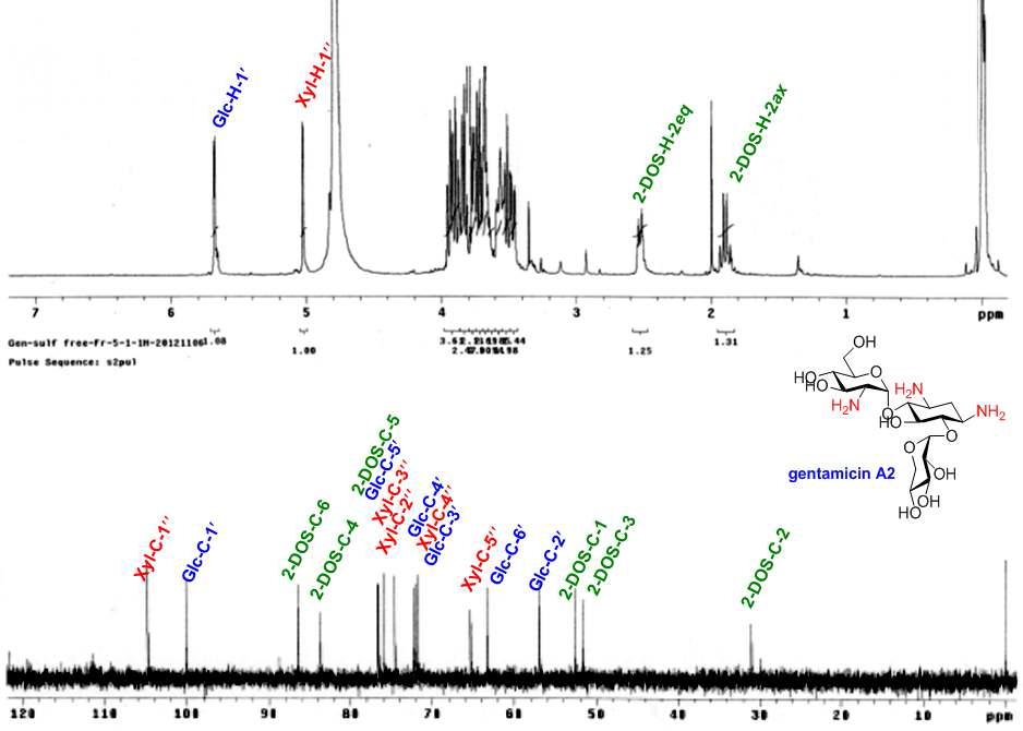 분리된 Gentamicin A2의 1H(500 MHz)- 및 13C(125 MHz)-NMR spectra 및 구조식