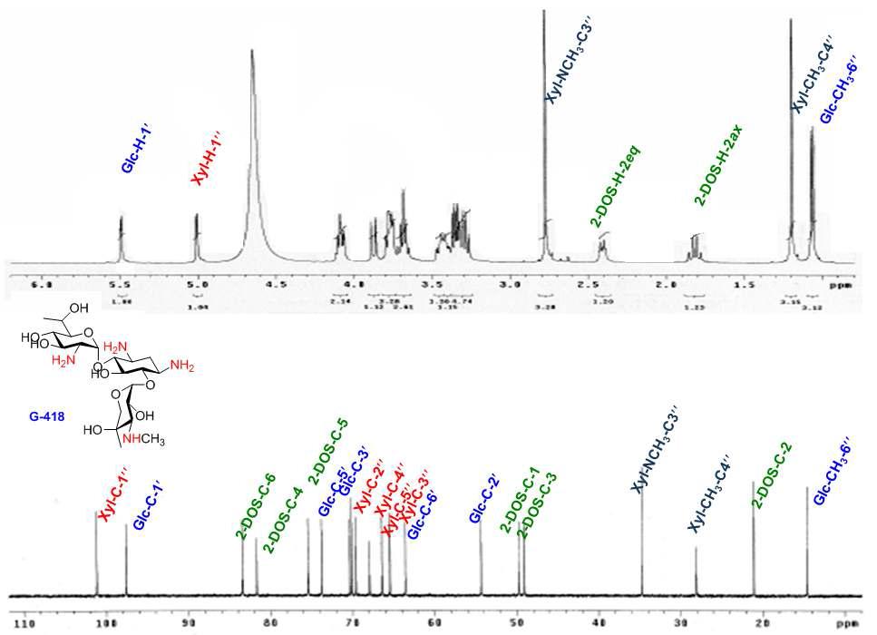 분리된 G-418의 1H(500 MHz) 및 13C(125 MHz)-NMR spectra 및구조식