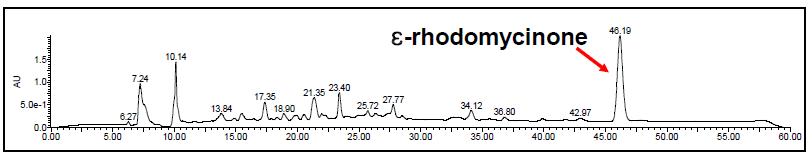 S. peucetius H돌P연LC변/U이V주 크로로부마터토 생그산램된 Ɛ-rhodomycinone의 HPLC/UV 크로마토그램