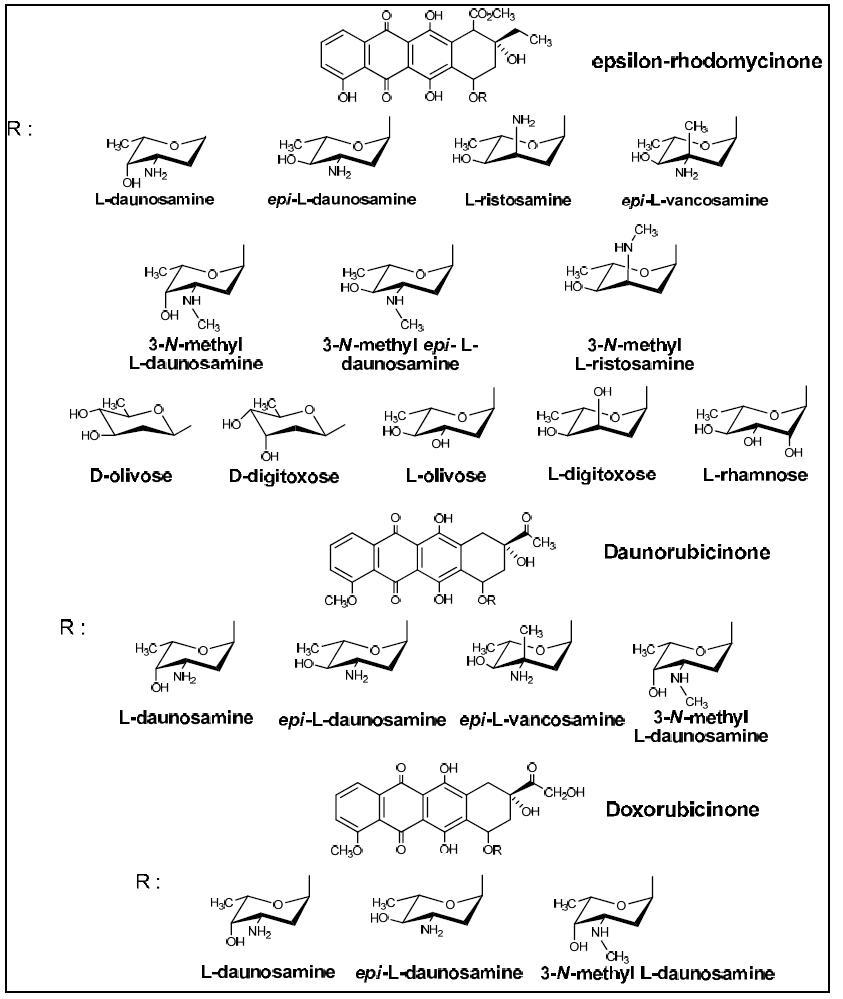 ε-rhodomycinone의 feeding 실험을 통하여 생산된 19종의 당치환 polyketide 유도체의 화학적 구조