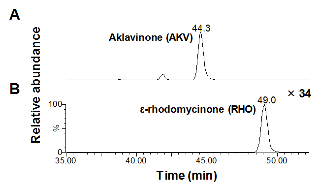 S. venezuelae 이종숙주에 의해 생산된 AKV와 ε-RHO의 HPLC-ESI-MS 크로마토그램