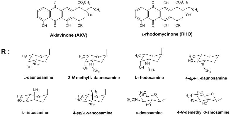 Streptomyces co-culture 시스템을 통해 생산 가능한 다양한 당치환 polyketide 유도체