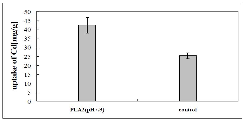Phospholipase처리를 통해 세포막 개질된 바이오매스의 카드뮴 흡착량 향상
