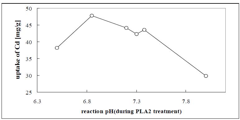 Reaction pH에 따른 개질된 바이오매스의 카드뮴 흡착 성능