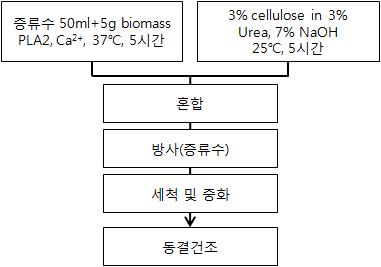 셀룰로오스 + PLA2 처리 바이오매스 섬유 제조