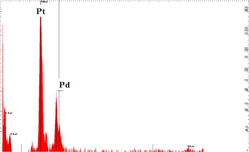 Pt, Pd 나노입자 흡착 후 GEB의 EDX(FE-SEM) 결과
