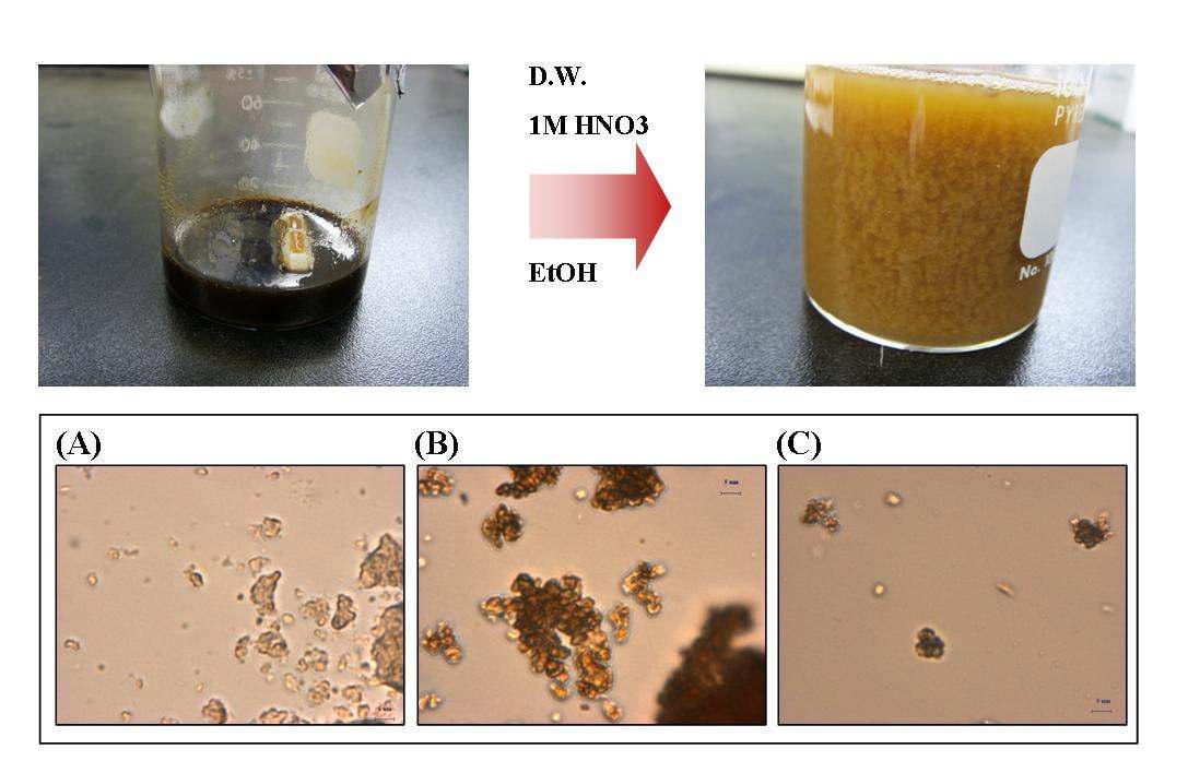 Anti-solvent에 따라 회수된 바이오매스((A) 증류수, (B) 1 M HNO3, (C) 95 % ethanol)