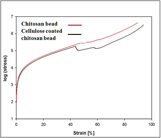 Cellulose 코팅 전·후 chitosan bead의 강도 측정 결과