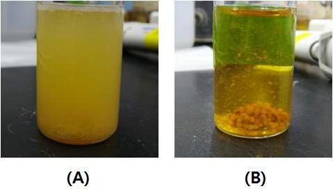 Chitosan sorbent (A)와 alginate sorbent (B)의 내산성 평가 결과 (in 0.1 M HCl solution)