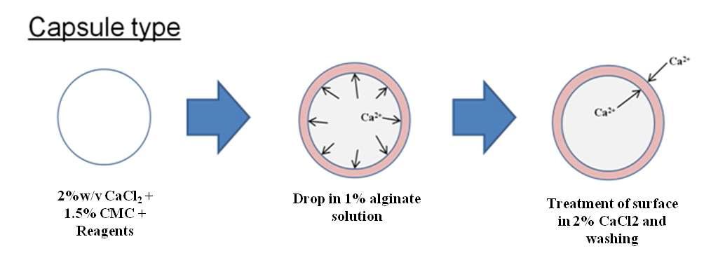 Metal extraction, chelating agents를 함유하는 alginate capsule 소재의 제조 방법