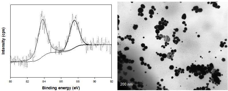 흡착 후 소재 표면의 XPS 분석 결과 및 흡착소재 표면에 형성된 금속나노입자의 TEM 이미지