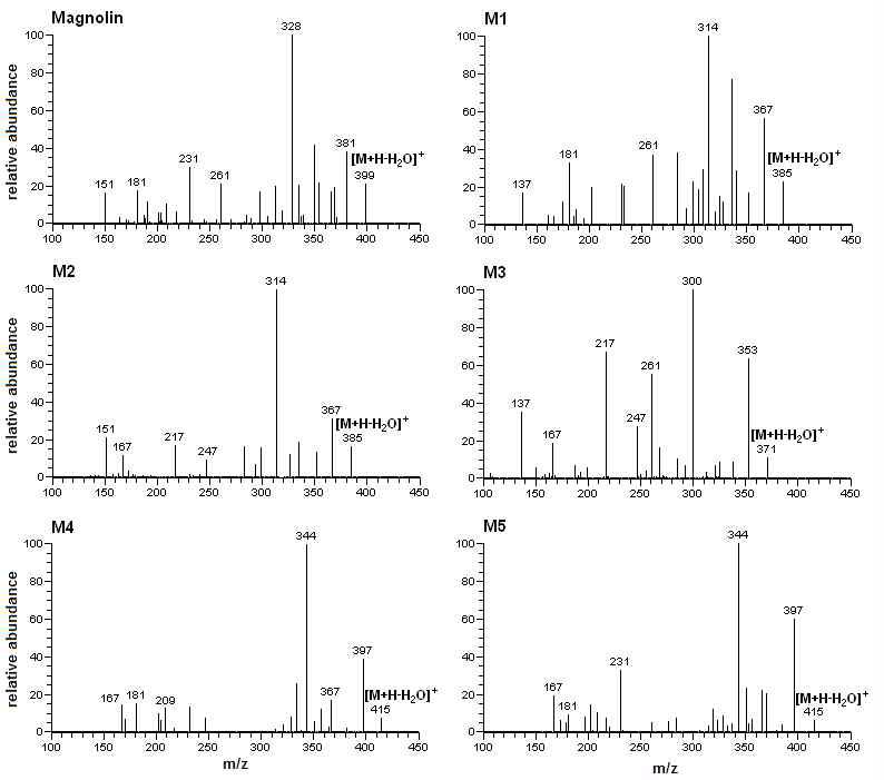 magnolin과 대사체의 MS/MS spectra