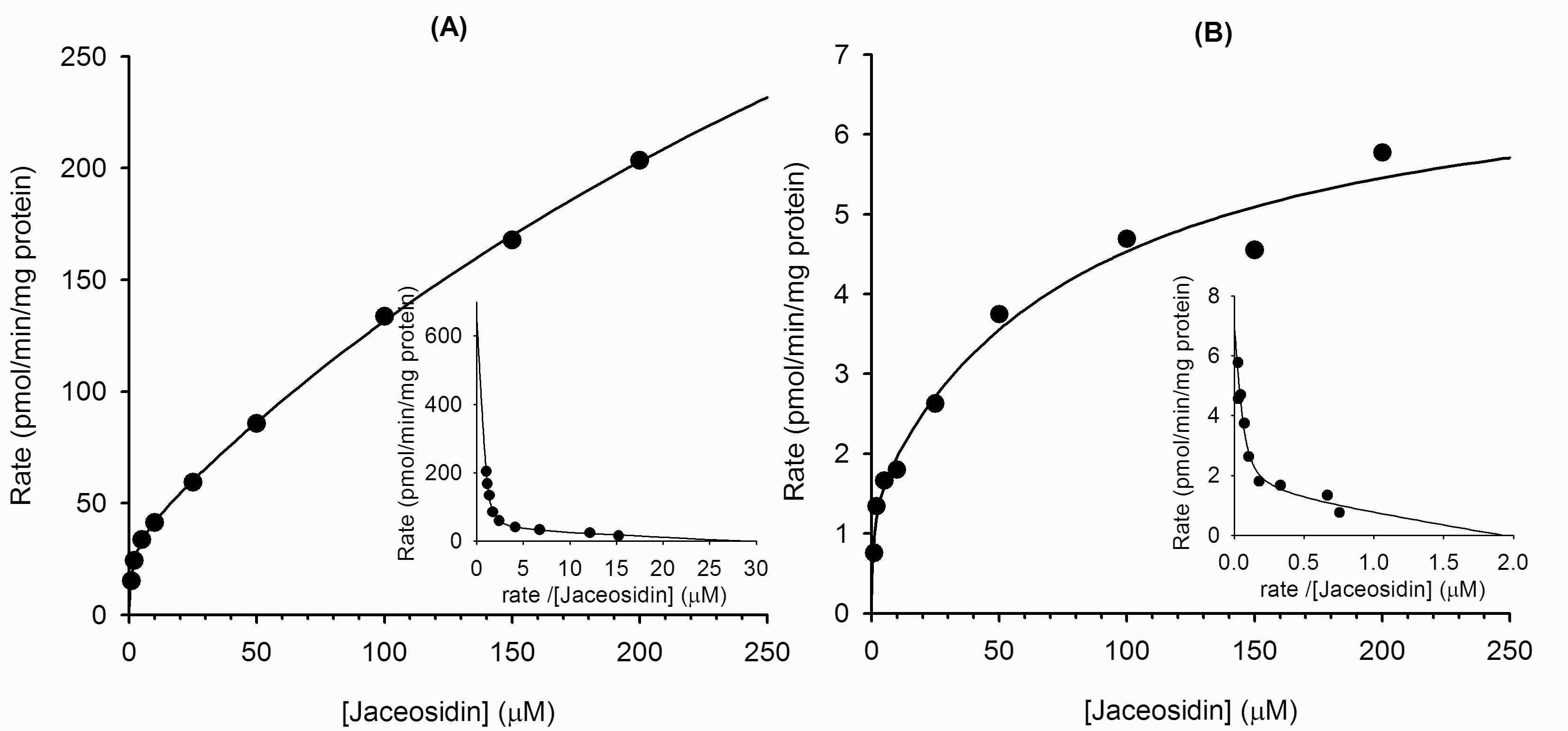 사람 간 microsomes H093에서 jaceosidin의 (A) O-demethyljaceosidin (M4)과 (B) hydroxyjaceosidin (M5)으로의 대사에 관한 Michaelis-Menten 및 Eadie-Hostfee plots