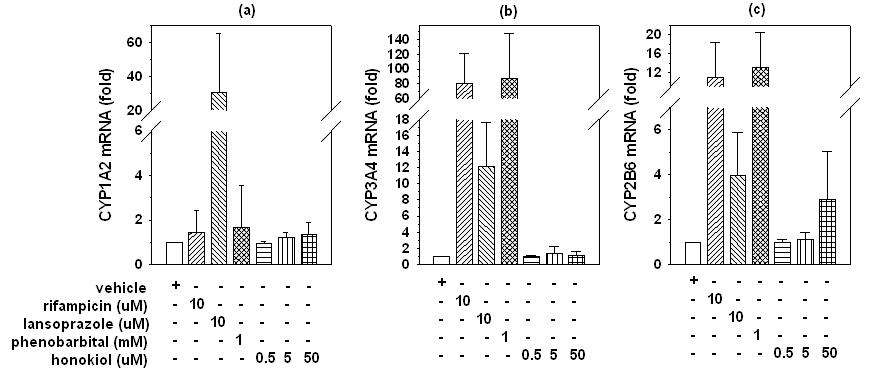 사람 hepatocytes에서 honokiol과 양성 대조물질인 rifampicin (PXR inducer), lansoprazole (AhR inducer), phenobarbital (CAR inducer)이 CYP3A4, CYP1A2, CYP2B6 mRNA에 미치는 영향