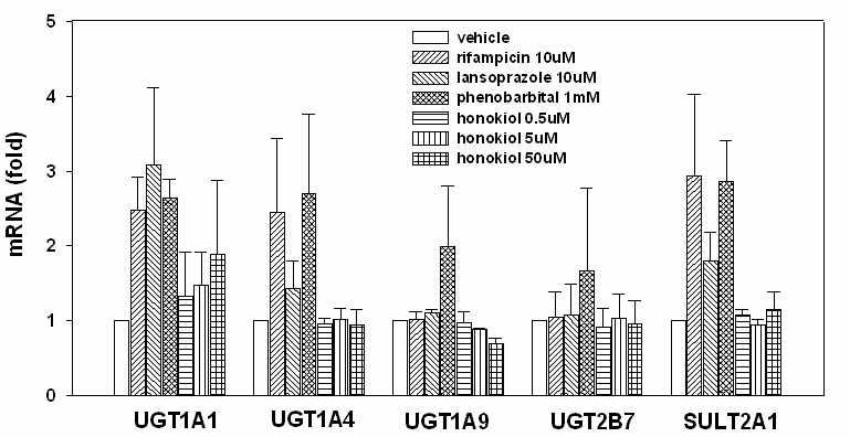 사람 hepatocyte에서 honokiol이 UGT1A1, UGT1A4, UGT1A9, UGT2B7, SULT2A1 mRNA에 미치는 영향