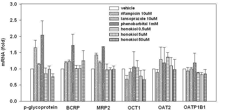 사람 hepatocyte에서 honokiol이 약물수송체인 p-glycoprotein, BCRP, MRP2, OCT1, OAT2, OATP1B1 mRNA에 미치는 영향