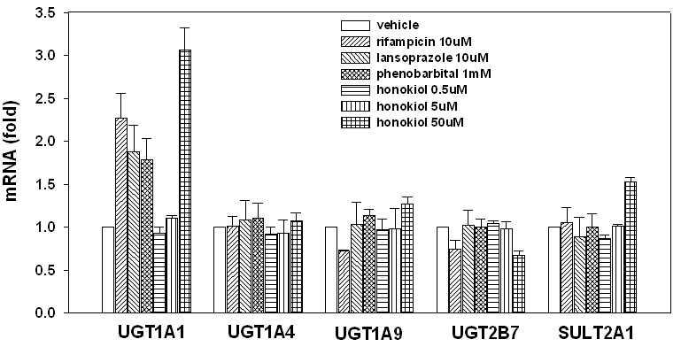 honokiol이 UGT1A1, UGT1A4, UGT1A9, UGT2B7, SULT2A1 mRNA에 미치는 영향