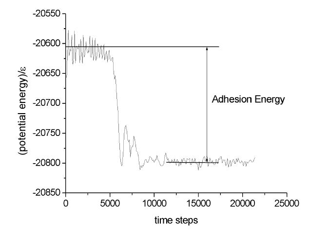 Time variation of the adhesion energy between a particle and a flat surface