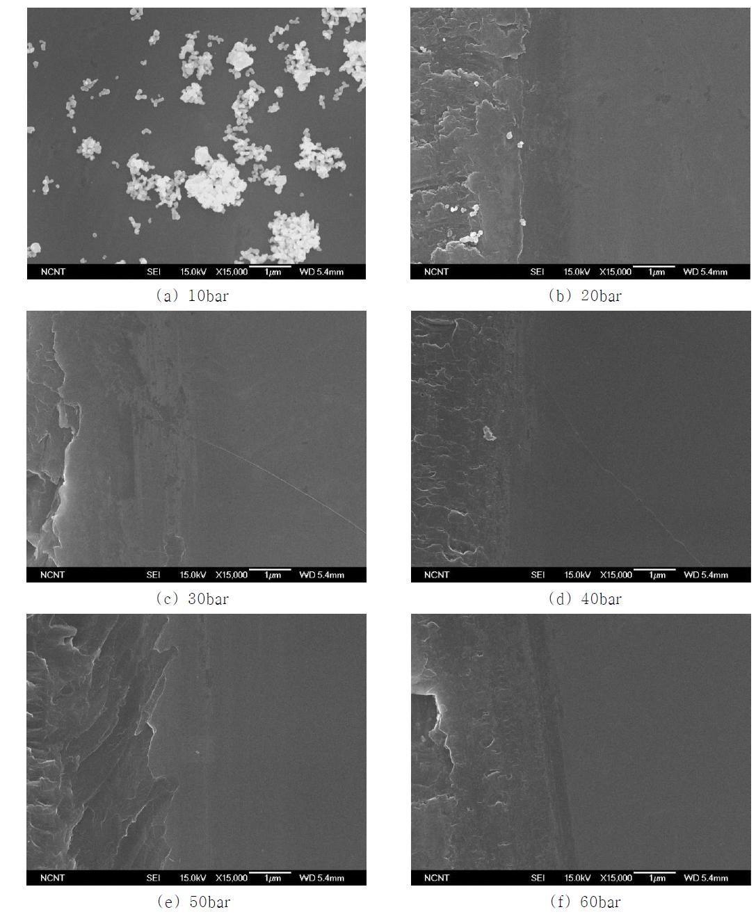 Removal of Cu with pure CO2