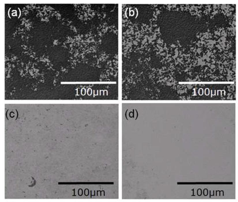 SEM pictures of bacteria film cleaning: (a) Untreated control; (b) cleaned by CO2 gas jet; (c) cleaned for 48 seconds by CO2 particles; (d) cleaned for 90 seconds by CO2 particles.