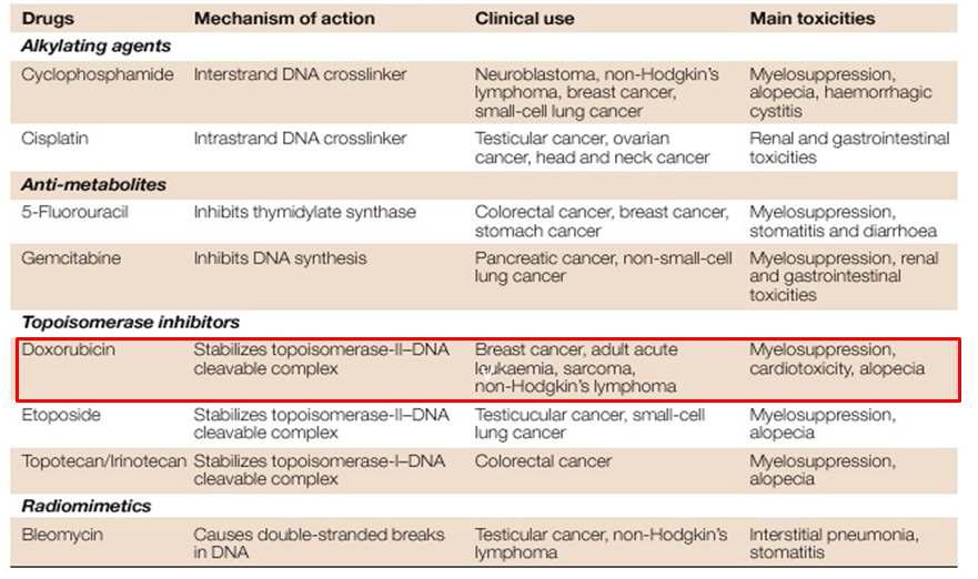 The clinical use of DNA-damaging agents.
