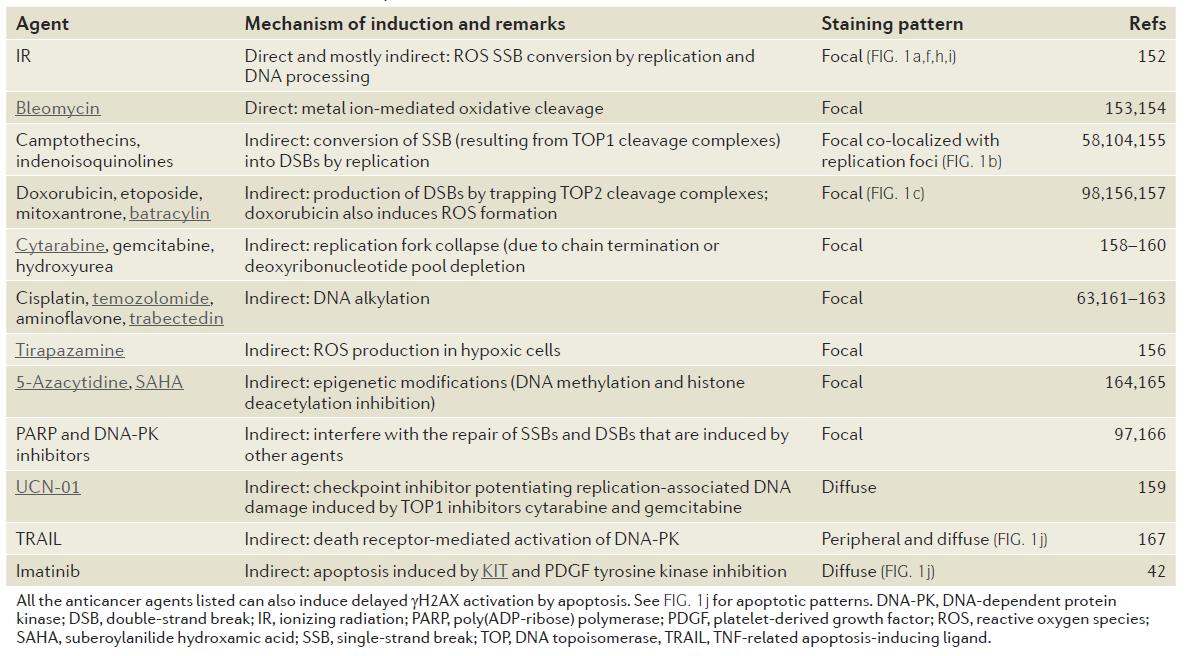 Anticancer agents that produce γH2AX.