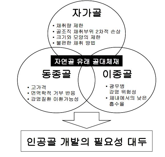 그림 4 자연골 유래 골 충진재의 문제점.