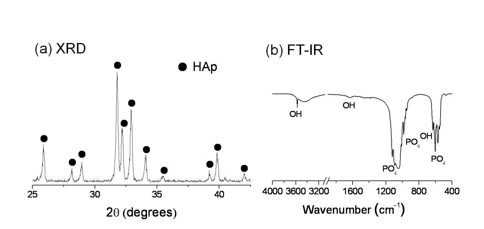 그림 6. 침전법에 의해 합성한 수산화아파타이트의 XRD와 FT-IR측정 결과