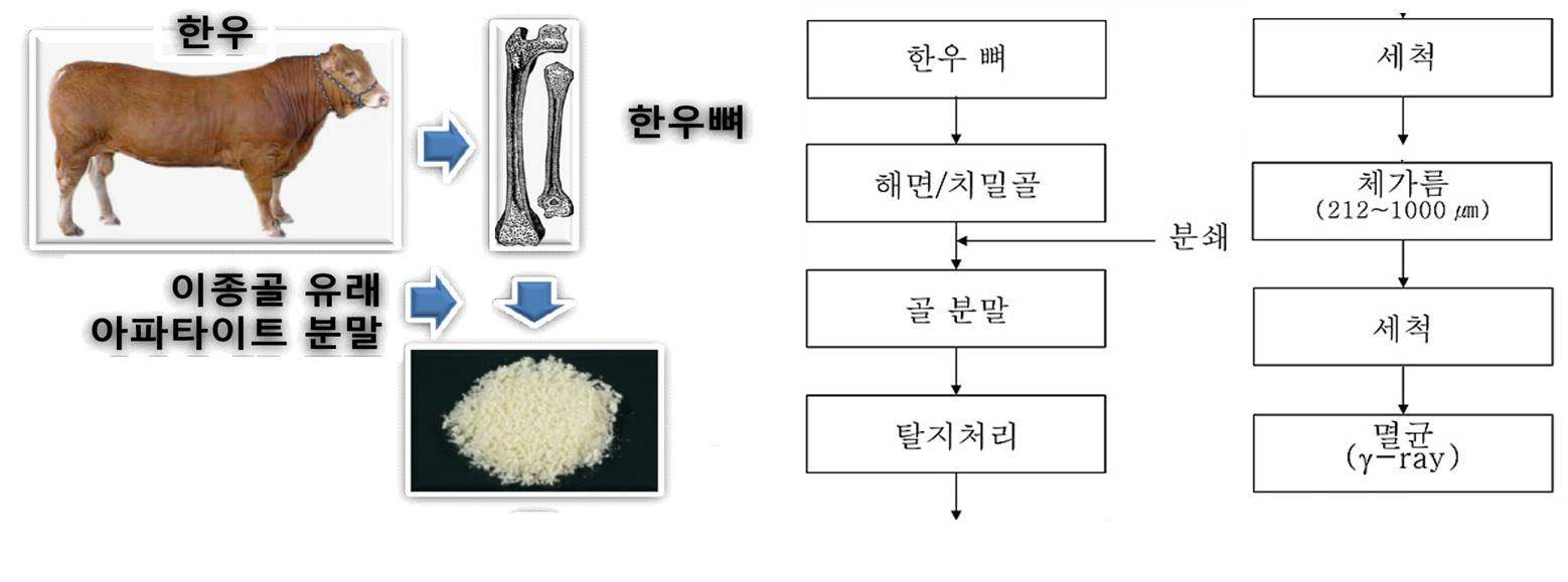 그림 7. 이종골을 이용한 아파타이트 과립의 제조 방법과 그 모식도.