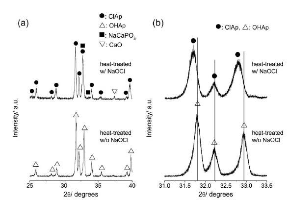 그림 12. 이종골로 제조한 수산화아파타이트(w/o NaOCl)와 이를 다시 차아염소산 나트륨으로 이온교환 시킨 아파타이트 (w/ NaOCl)의 XRD 측정 결과
