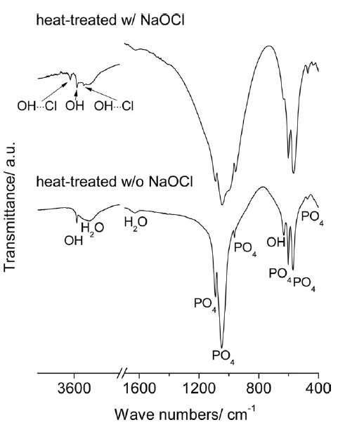 그림 13. 이종골을 열처리하여 제조한 수산화아파타이트(w/o NaOCl)와 이종골을 다시 차아염소산 나트륨으로 이온교환 시킨 후 열처리 하여 제조한 염화아파타이트 (w/ NaOCl)의 FT-IR 측정 결과
