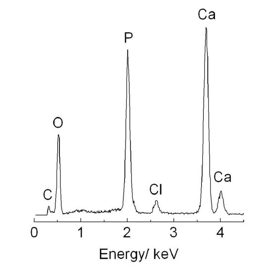 그림 16. 이온교환법을 통해 제조한 염화아파타이트 시편의 EDS 분석 결과.