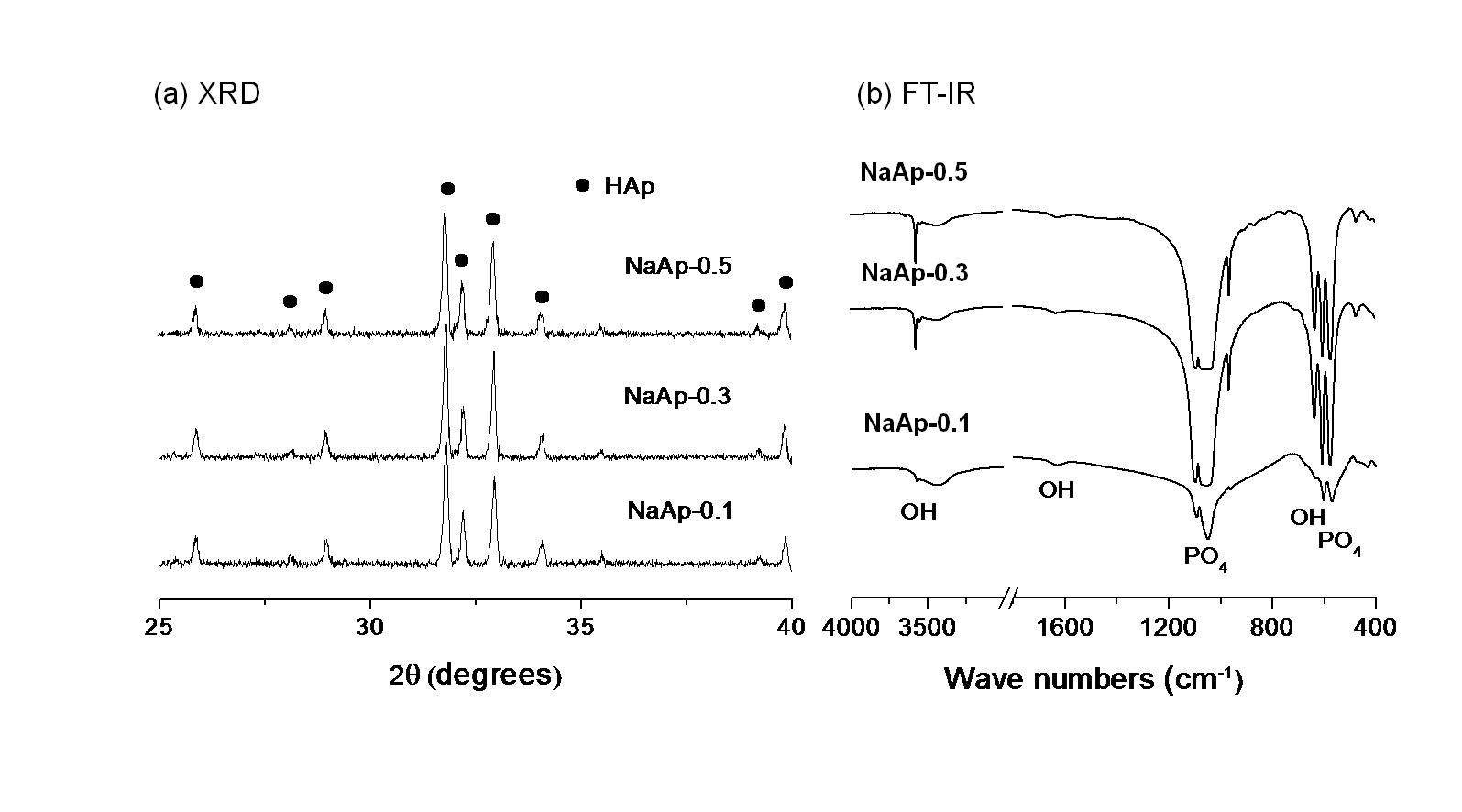 그림 17. Na이 포함된 아파타이트 과립을 열처리 후 X선 회절분석과 FT-IR 측정 결과