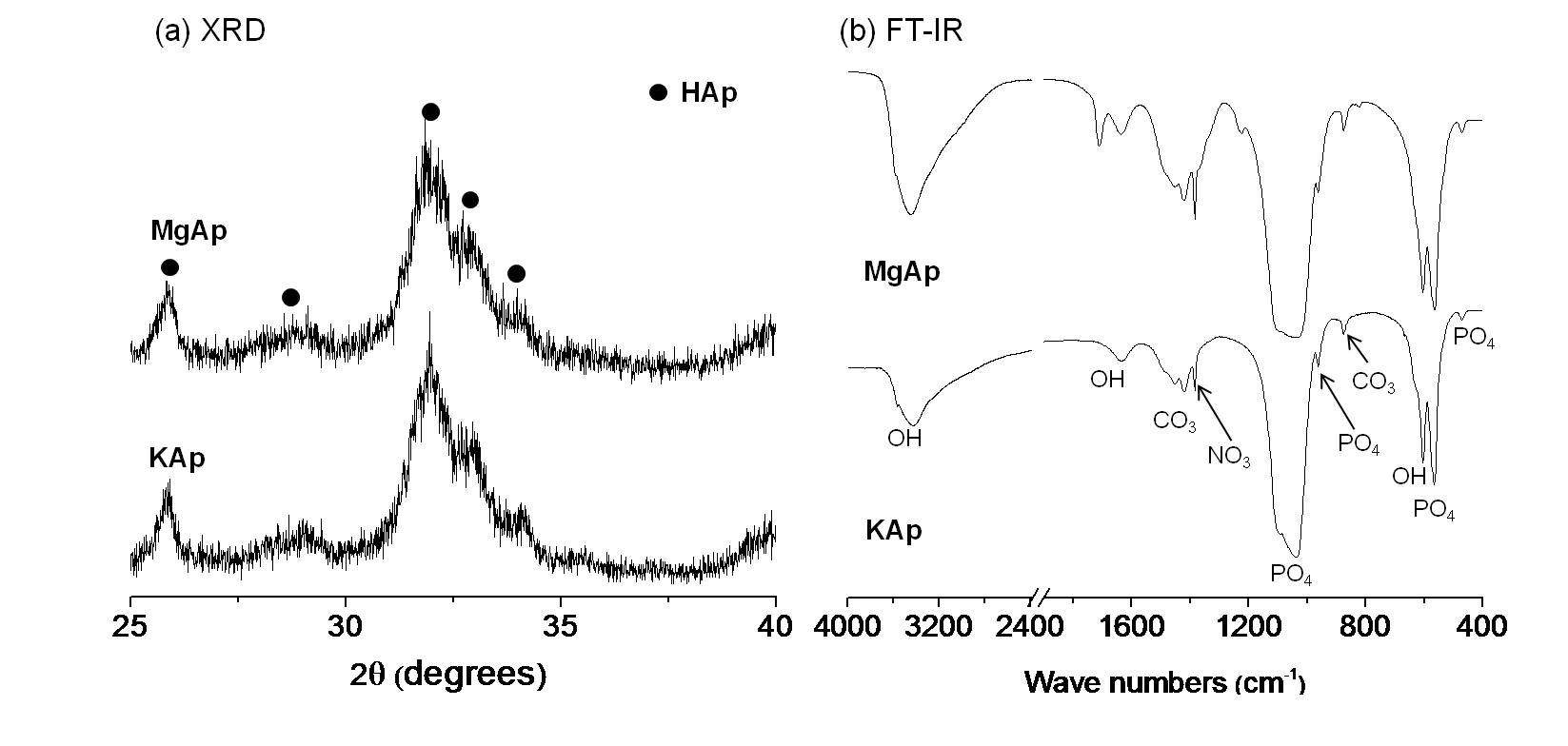 그림 19. K, Mg을 포함하는 금속이온 치환형 아파타이트의 (a) XRD 및 (b) FT-IR 측정 결과.