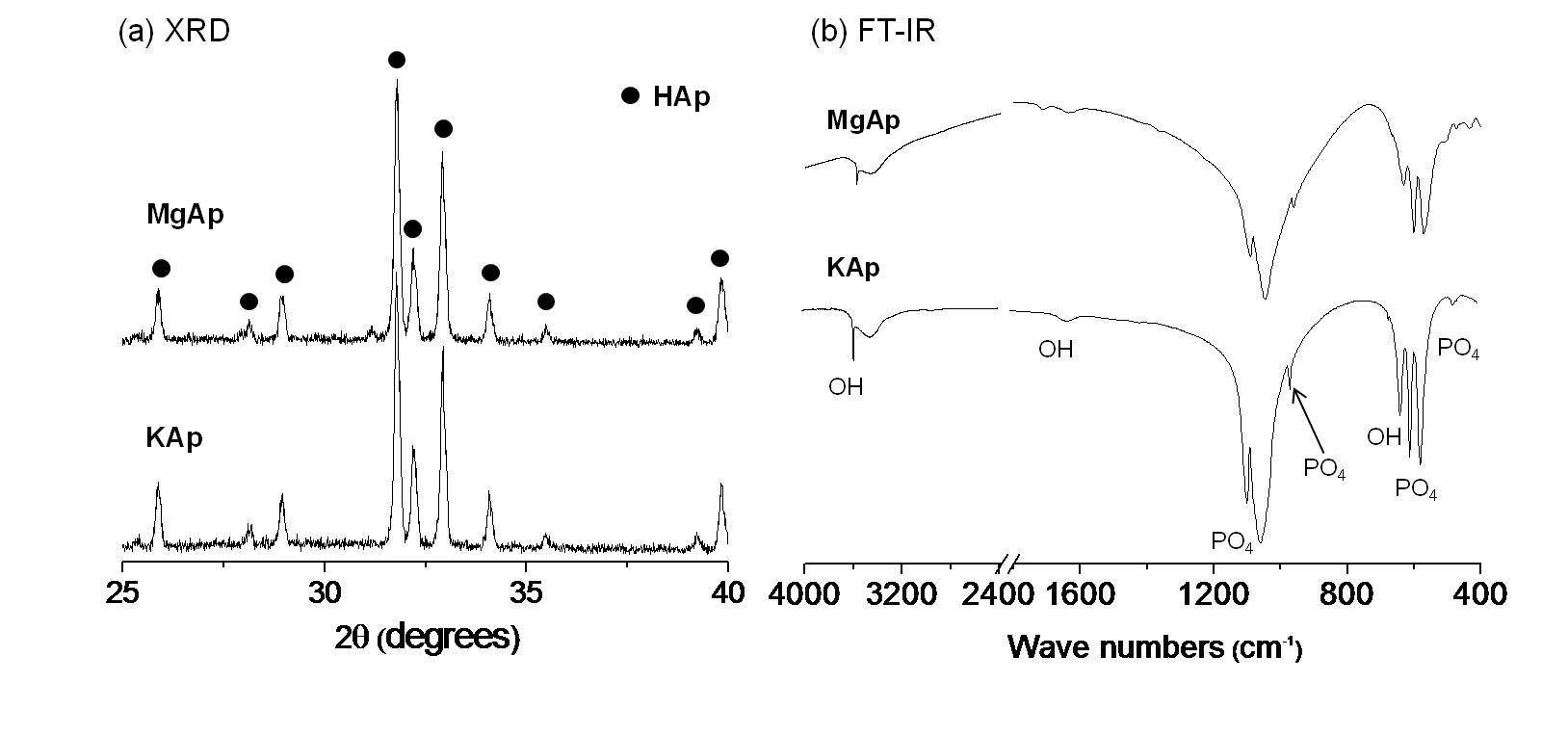 그림 20. K, Mg을 포함하는 금속이온 치환형 아파타이트의 열처리 후 (a) XRD와 (b) FT-IR 측정 결과.